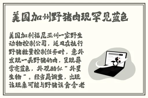 在线国产频